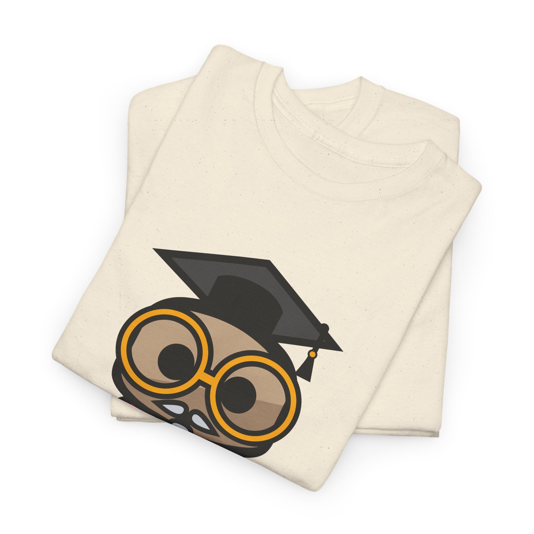 Unisex Education BOT Heavy Cotton Tee